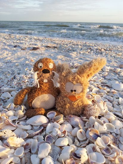 Hermann und Trude, auf Sanibel Island