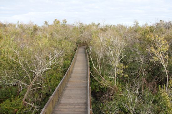 Die Promenade durch den Park