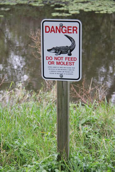 Wer bitte füttert die denn?!