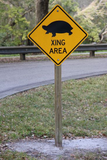 ... wichtiger Hinweis, die brauchen ja auch eine Weile, von der einen zur anderen Seite...