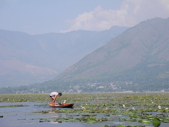 Bootsfahrt auf dem hauseigenen See in Srinagar Im Hintergrund die Auslaeufer des Himalayagebirges