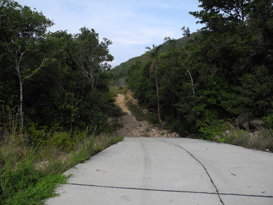 Und auf einmal war die Straße weg... Das Bild zeigt zwar Koh Samui, gibt aber einen ganz netten Eindruck davon, wie die Straßen auf Koh Tao so aussahen  Man muss die Roller ja auch n bisschen herausfordern...