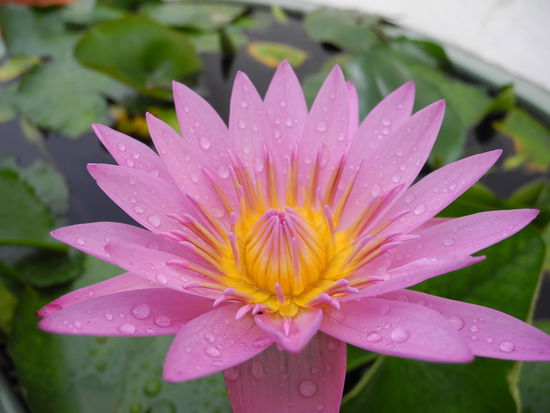 Hier mal zwischendrin ein ganz lieber Gruß an unsere lieben Mütter zuhause :-*