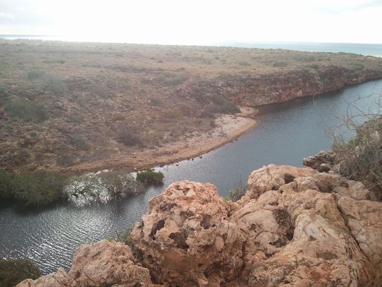 Irgendein Creek im Nationalpark