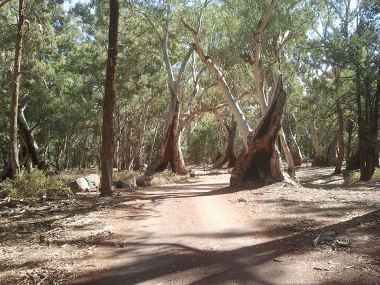 Flinders Ranges Nationalpark