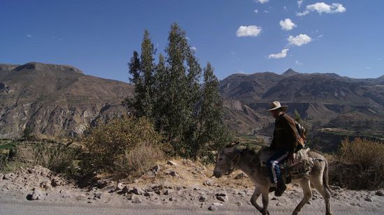 Auf geht's - ins Valle del Colca!