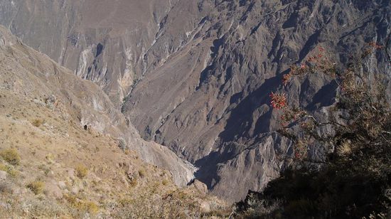 Blick in die Schlucht - hier gehts gleich runter....