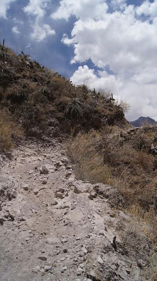 Der Weg in den Canyon