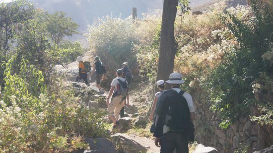 Hoch und runter, ueber Stock und Stein