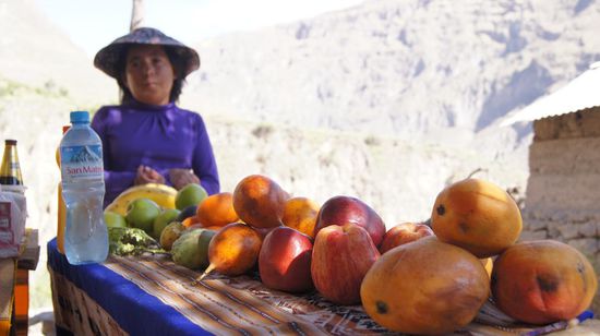 In den kleinen Doerfern gibt es immer mal wieder einen Stand mit Erfrischungen.  Das spezielle Mikroklima im Tal des Colca erlaubt den Anbau vieler Fruechte:  Apfelbaeume wachsen hier neben Kakteen