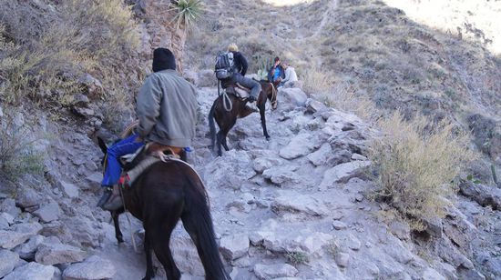 Nicht mehr Alle haben die Kraft zum Aufstieg auf eigenen Beinen...