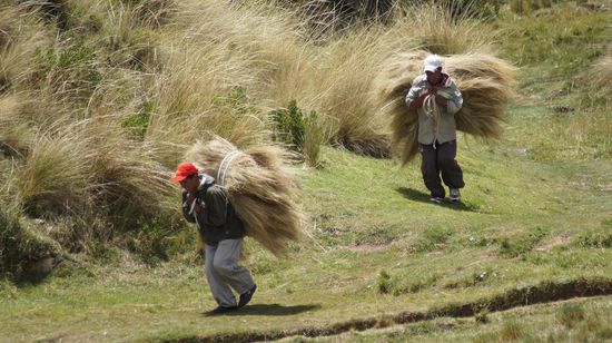 Hier oben begegnen uns immer wieder Maenner, die Futter fuer ihre Lamas sammeln