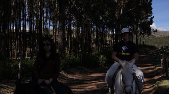 Da mir noch die Wanderung durchs Valle del Colca in den Beinen steckt, reiten wir ein Stueck Richtung Qenko