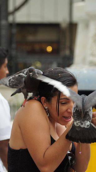 ...auf den Kopf, damit die Tauben...