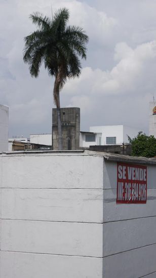 Ja, seh Waende, und ne Palme!