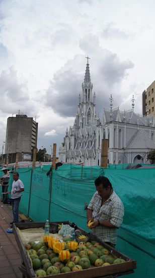 Mangos - gefaehrliche Fruechte