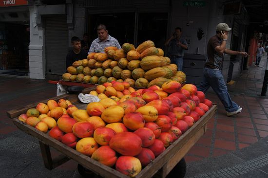 Immer wieder gefaehrliche Fruechte..