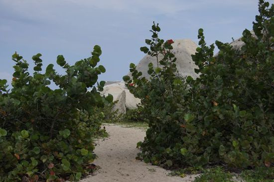 Fast unwirkliche Landschaft und Vegetation