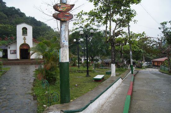 Minca