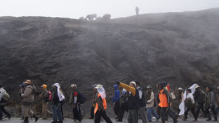 Ein paar Lamas beobachten den Marsch auf dem Cumbre