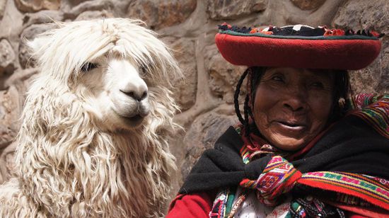 Man kommt einfach nicht an ihnen vorbei - Lama und traditionelle Quechua-Frau