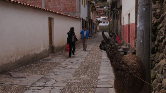 Gasse in Cuzco