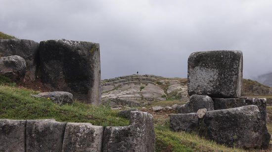 Dicke Steine aus dem Gebiss des Panthers