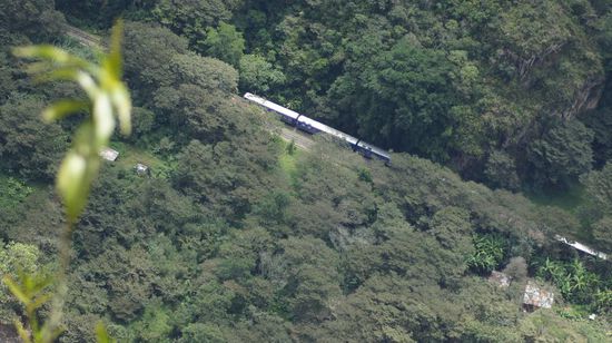 Abstieg ins Tal - Im Fall von Machu Picchu ist de Weg tatsaechlich beser als das Ziel....