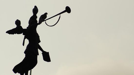 Tauben und Trompeten