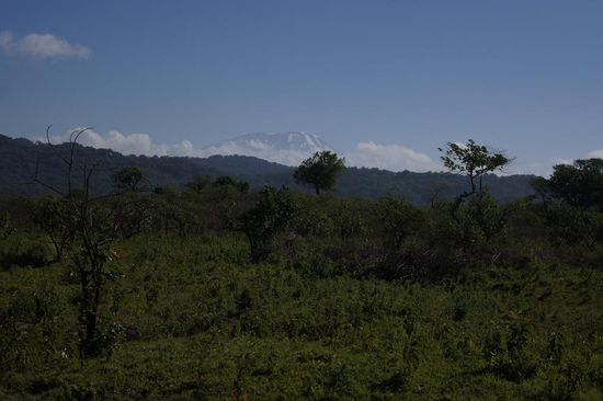 Erster Blick hinueber zum Kilimanjaro, vom Arusha National Park aus