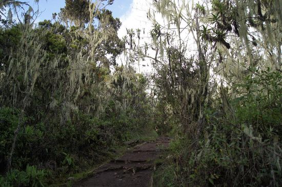 Am ersten Tag gehen wir von 1800 auf 2700 Hoehenmeter, leicht ansteigend auf guten Wegen
