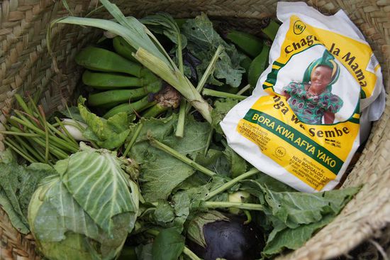 Ungalublich: unser Koch hat fuer sechs Tage frisches Gemuese, Fisch und Fleisch dabei!