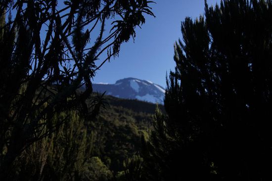 Der Blick zum Gipfel ist eher furchteinfloessend. Da sollen wir wirklich hoch?