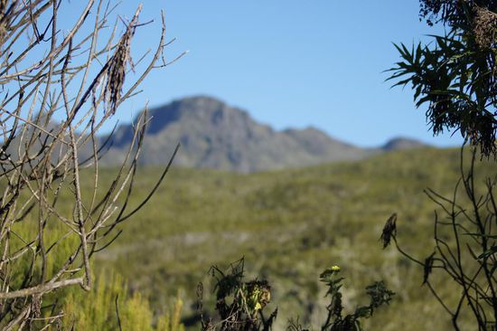 Ab und zu sehen wir am Horizont den Mount Meru