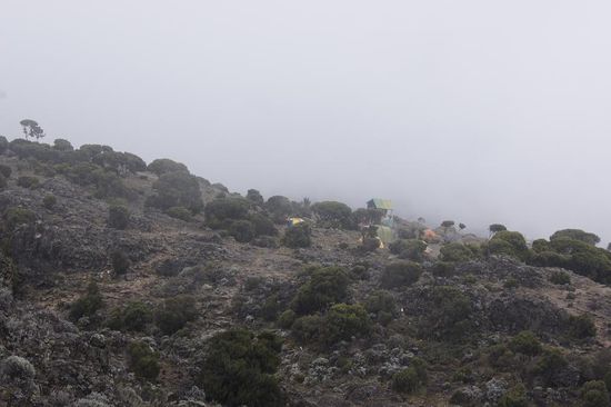 Das nächste Lager: Shira Camp auf fast 3900 Meter und leider in einer kalten Wolke