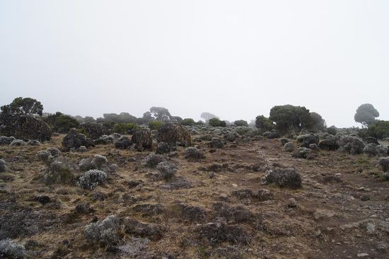Wenn die Sonne weg ist, wird es gleich empfindlich kalt