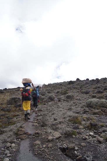 Die wahren Helden des Kilimanjaro sind die Träger! Sie schleppen viel mehr als wir, haben oft nur schlechtes Schuhwerk - und sind trotzdem viel schneller als die Bergtouristen aus Europa.