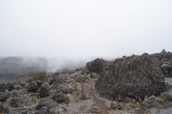 Über 4000 Meter dominieren mit Moosen und Flechten überzogene Lavabrocken das Bild