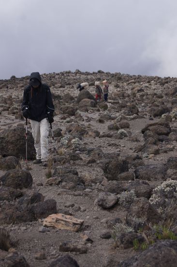 Dominik im Schneckentempo
