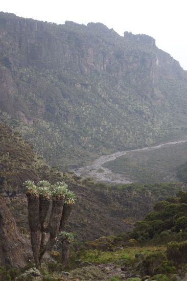 Irgendwo da unter muss das nächste Lager sein: Barranco Hut