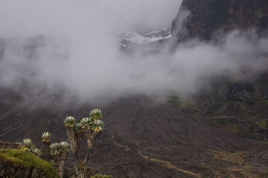Ab und zu eine Wolkenlücke und ein Blick zu den Schneefeldern