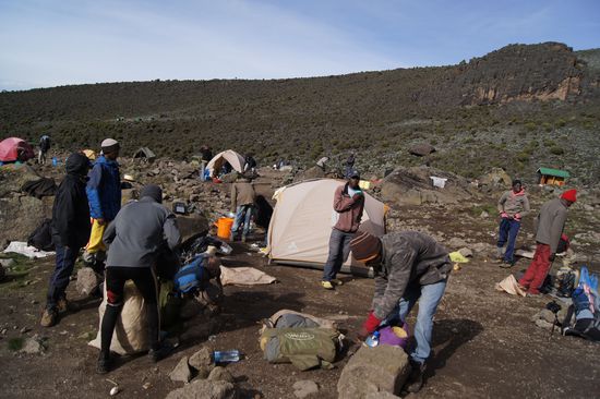 Unsere Helfer bei der allmorgendlichen Pflichtübung