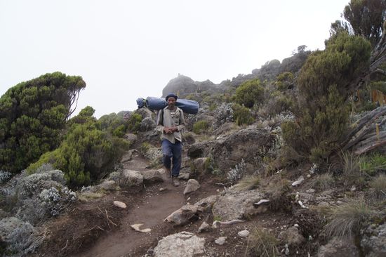 Der nun folgende Streckenabschnitt ist relativ flach