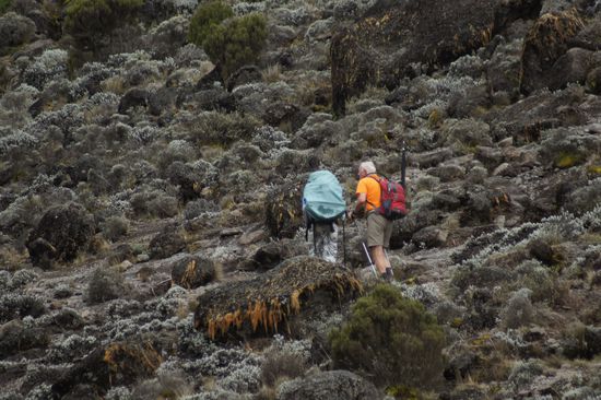 Alain aus Frankreich, 67, mit Schirm, Charme und einem Helfer