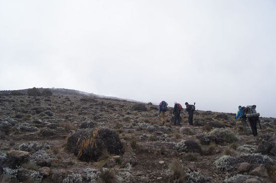 Ab jetzt geht es nur noch steil nach oben