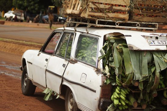 Bananentransport....