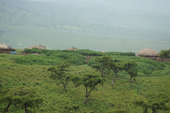 Massai-Siedlung zwischen Ngorongoro und Serengeti