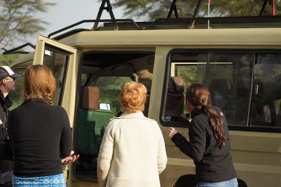 ...springt aber blitzschnell in ein Auto und klaut sich dort...