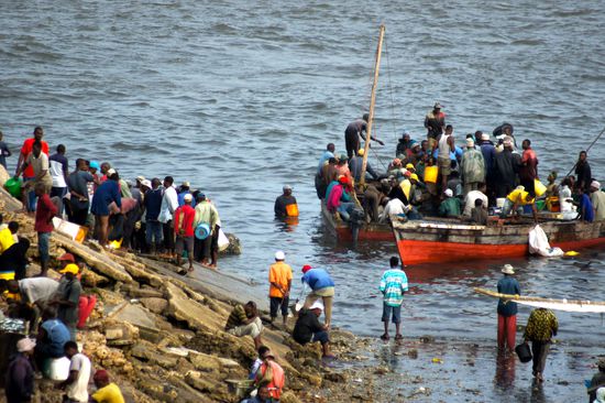 Am nächsten Morgen: Fischer bringen ihre Beute zum Hafen