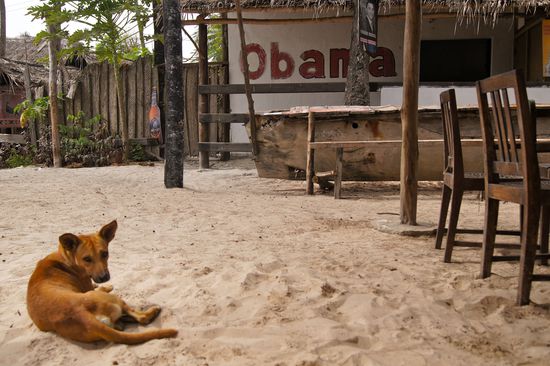 Und hier haben wir´s: Sansibar oder: der letzte Hund